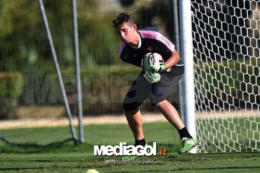 Leonardo Marson Leonardo Marson