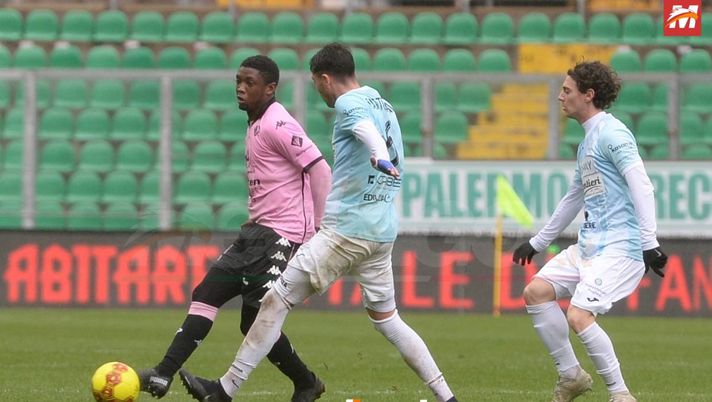 Palermo, Broh candidato a restare: la sua duttilità può convincere Filippi Palermo, Broh candidato a restare: la sua duttilità può convincere Filippi