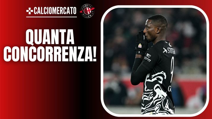 Serhou Guirassy, attaccante dello Stoccarda (getty images)