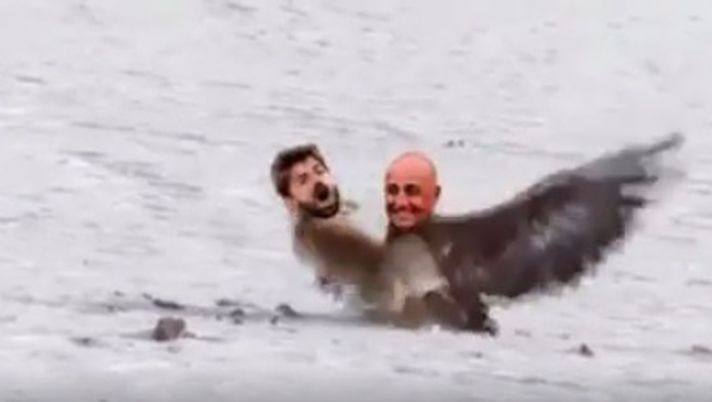 Il Condor Galliani plana su Storari, Facebook # A.C Milan 1899 Il Condor Galliani plana su Storari, Facebook # A.C Milan 1899