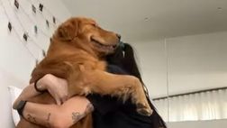 Sparito Muffin, il cane di Valentina Vignali. Appello sui social: “Aiutatemi”