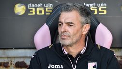 Conferenza Palermo – Bortoluzzi: “L’assenza di Nestorovski è pesante, Diamanti è sulla strada giusta”