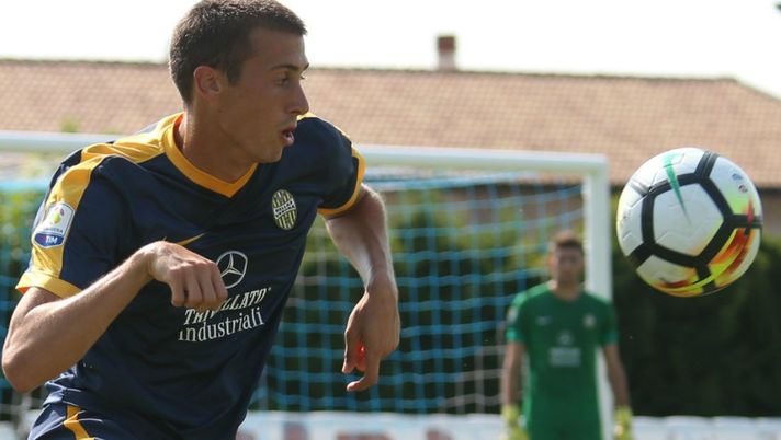 Foto Grigolini Foto Grigolini