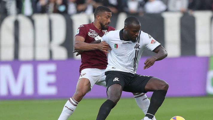 Torino-Spezia: granata motivati a far bene e in cerca della vittoria in casa - immagine 1