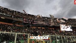 Palermo-Frosinone, il dato dei biglietti venduti: il “Barbera” si riempie sempre più
