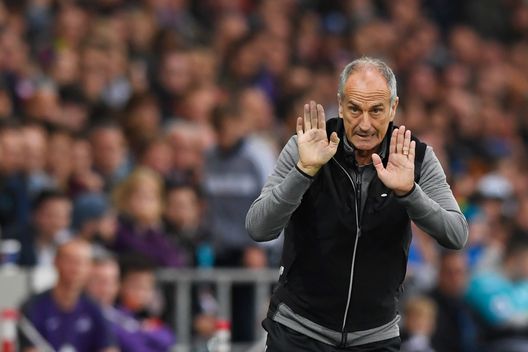 Guidolin, getty Guidolin, getty