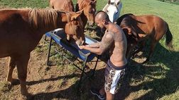 Vidal e la sua cara vecchia passione per i cavalli: “Da loro ho imparato che…”