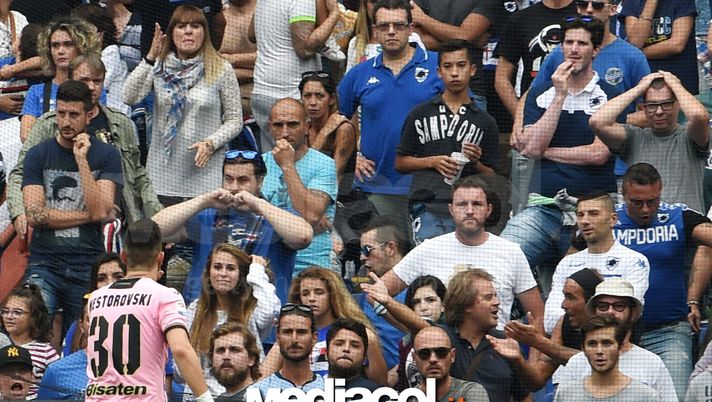 Calciomercato, a Napoli si chiedono: “De Laurentiis, ma pensare a Nestorovski?” Calciomercato, a Napoli si chiedono: “De Laurentiis, ma pensare a Nestorovski?”