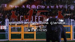 Toro News, quindici anni di storia granata