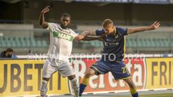 Ufficiale, Dawidowicz torna in nazionale