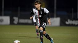 Calciomercato Palermo: Stoppa c’è! Visite mediche in corso, i dettagli dell’affare