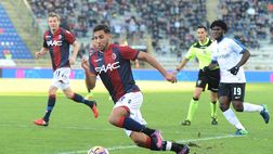 Casa Bologna: finalmente Petkovic, ma il menisco di Taider fa crac