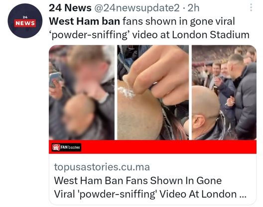 West Ham, un tifoso sniffa sulla pelata dell’amico: il club li sospende tutti- immagine 2