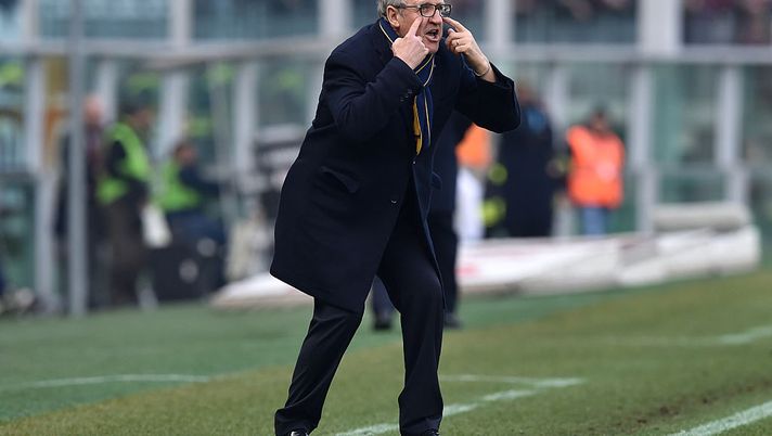 TURIN, ITALY - JANUARY 31:  Hellas Verona FC head coach Luigi Delneri shouts to his players during the Serie A match between Torino FC and Hellas Verona FC at Stadio Olimpico di Torino on January 31, 2016 in Turin, Italy.  (Photo by Valerio Pennicino/Getty Images) 