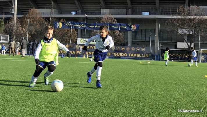 Hellas Verona Giovanili 