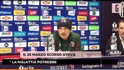Venezia-Bologna, Mihajlovic torna di nuovo in panchina | VIDEO