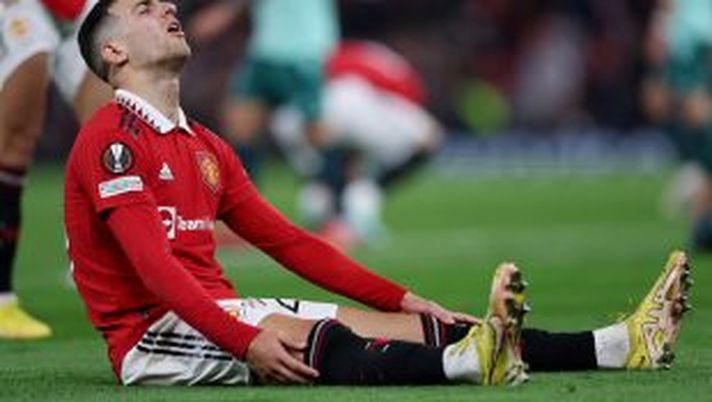 CALMA...FIRMATO DIOGO DALOT...