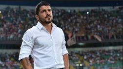 Sampdoria, altro no di Gattuso: due opzioni in pole per la panchina. Le ultime