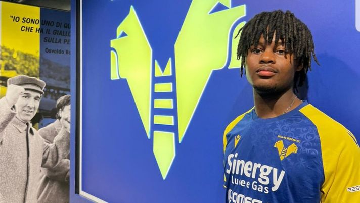 Tochi in arrivo, tra qualche giorno si unirà al gruppo a Primiero - immagine 1