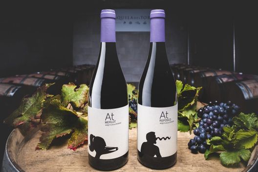 Scopri Aquila del Torre, gioiello enologico disponibile su Vinumitaly.it- immagine 2