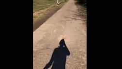 VIDEO / La moglie di Borja Valero continua a correre: eccola mentre si allena
