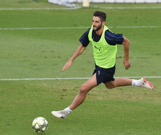 Qui Inter: per il match con i viola a rischio un centrocampista- immagine 2