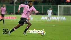 Palermo, verso il Cittadella: Marconi in gruppo. Esami per Broh, le sue condizioni