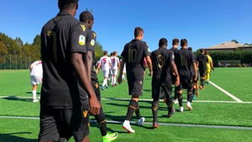 Primavera Hellas, sfida al Bologna