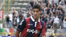 Ceccarini: “Masina? Per ora solo gradimento viola. Su Kalinic il Milan non ha fretta”