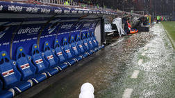 Sampdoria-Fiorentina, le quote dei bookmakers: equilibrio (quasi) assoluto