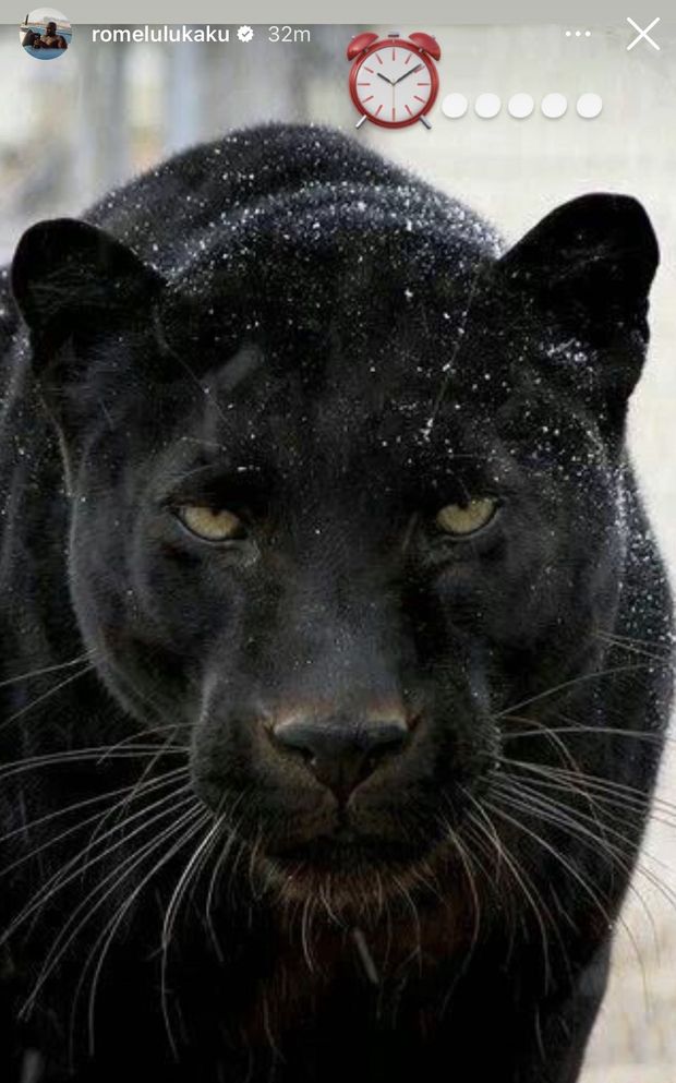 Inter, Lukaku ‘vede’ la Roma: i prossimi step per il rientro. Occhio allo scherzetto di Calhanoglu- immagine 2