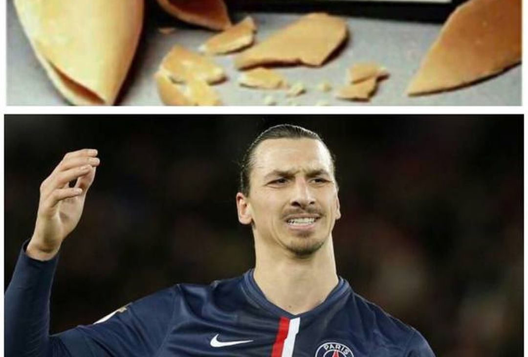 Ibrahimovic Ha Vinto La Champions League