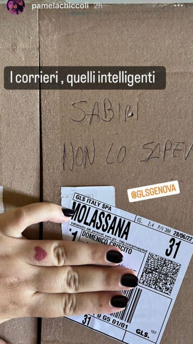 Sabiri come Boselli, il corriere sfotte: la moglie di Criscito “Sei proprio intelligente…”- immagine 2