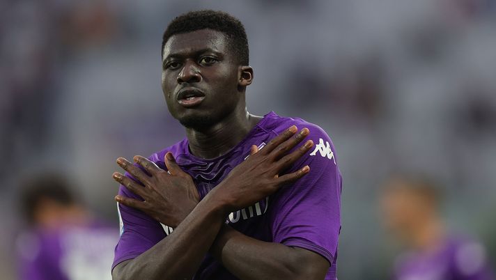 Venuti, Terzic, Duncan e Barak: la giostra Fiorentina targata Italiano - immagine 1