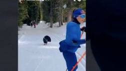 VIDEO / Gallo cedrone blocca la strada a Dorothea Wierer
