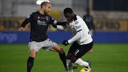 Spezia-Bologna, le probabili formazioni