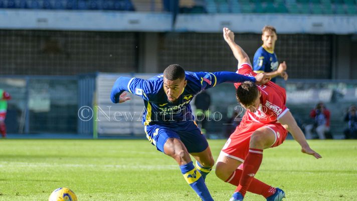Verona verso il Lecce, oggi il via agli allenamenti  Verona verso il Lecce, oggi il via agli allenamenti - immagine 1