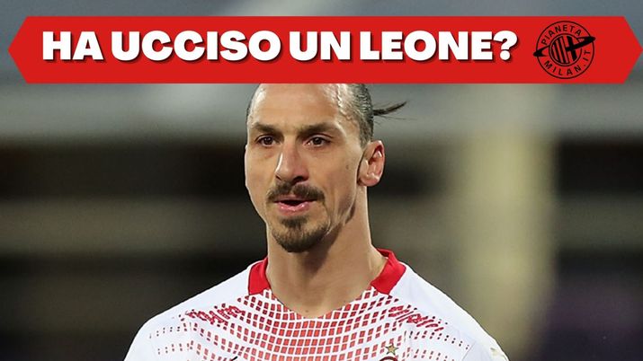 Ibrahimovic, attaccante AC Milan, accusato di aver ucciso un leone: nella news le ultime (GettyImages) 