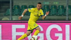 Giaccherini: “Belgio preoccupato dall’Italia, sappiamo soffrire insieme”