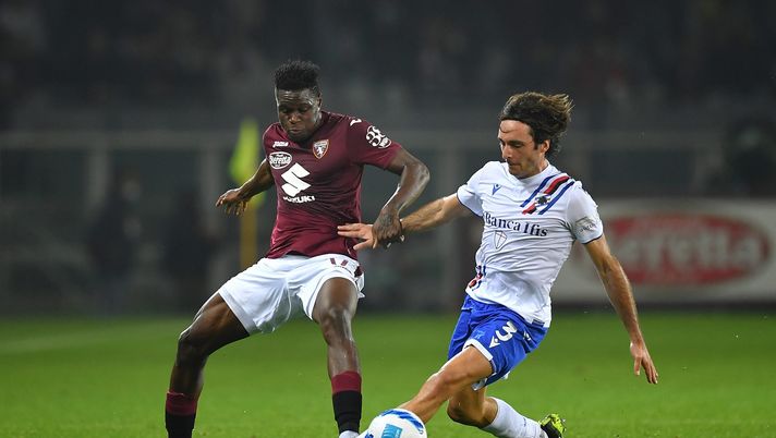 Toro, la Samp per ritornare al successo: blucerchiati con numeri horror - immagine 1