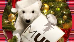 Auguri di Buon Natale (bianconeri, ovviamente)!