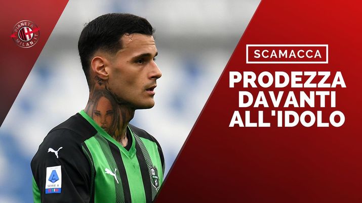 Gianluca Scamacca Sassuolo