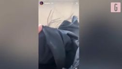 VIDEO / Shakira, che paura: attaccata dai cinghiali a Barcellona