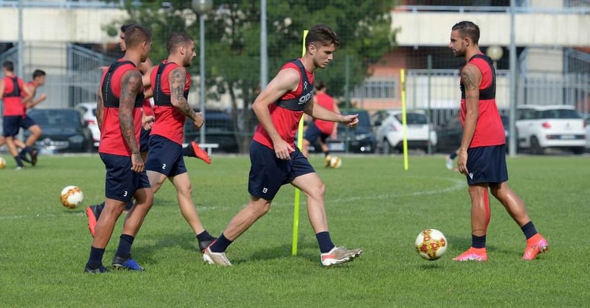 Come Cambia La Serie C Dopo I Ripescaggi, Piacenza Nel Girone Del ...