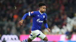 Juventus, chi è Mckennie? Scopriamo insieme il nuovo acquisto dei bianconeri