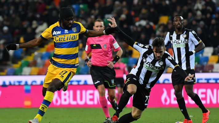 News Udinese, le parole di D'Aversa. News Udinese, le parole di D'Aversa.