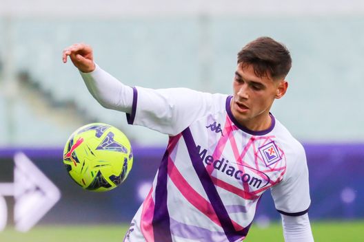 La Fiorentina mette il muro: Dodò stringe i denti. Igor insidia Quarta- immagine 2