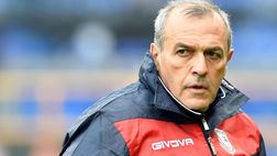Mercato, niente Carpi per Inzaghi: confermato Castori