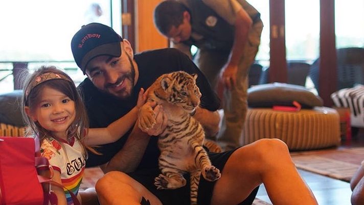 Karim Benzema attaccato dagli animalisti: posa con i figli e un cucciolo di tigre  Karim Benzema attaccato dagli animalisti: posa con i figli e un cucciolo di tigre