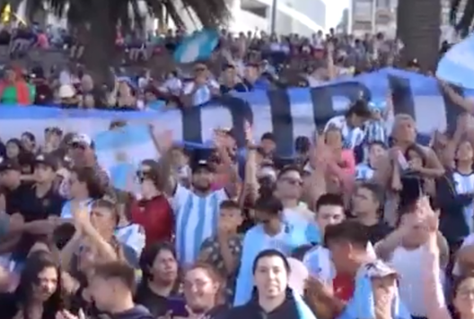 Francia, Ministro dello Sport: “Argentini vincitori pietosi e ineleganti”- immagine 2